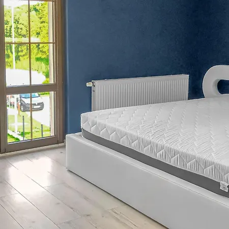 Pet Friendly In With View Debrzno